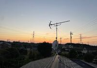 IMG_3558